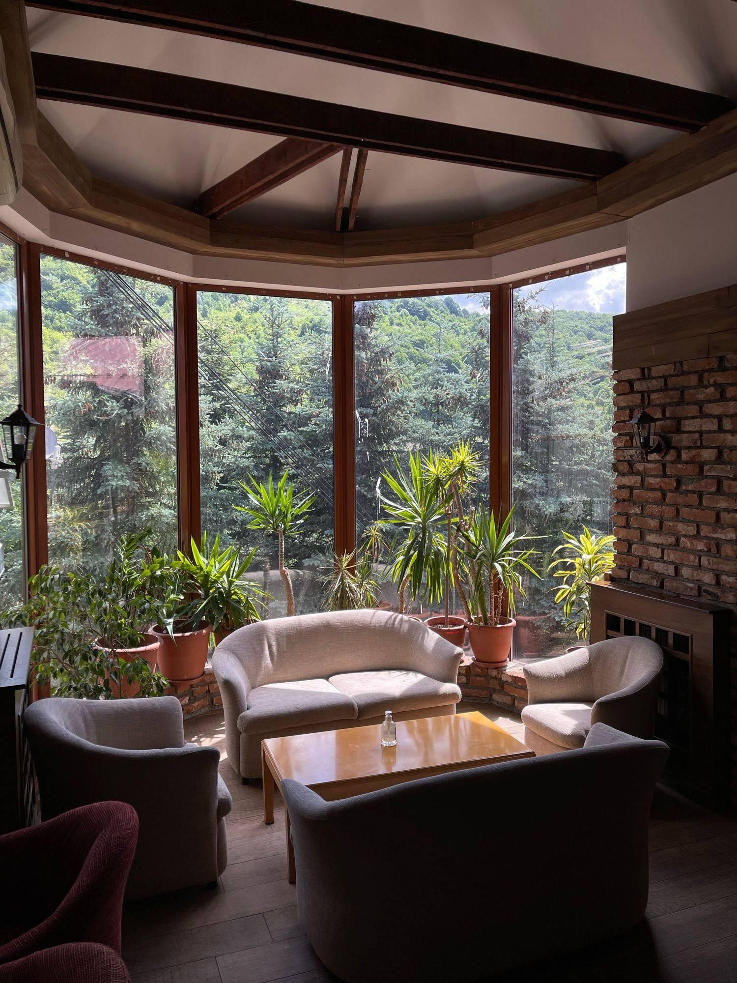 A sitting room with armchairs and potted plants, its tall windows looking out on a garden.