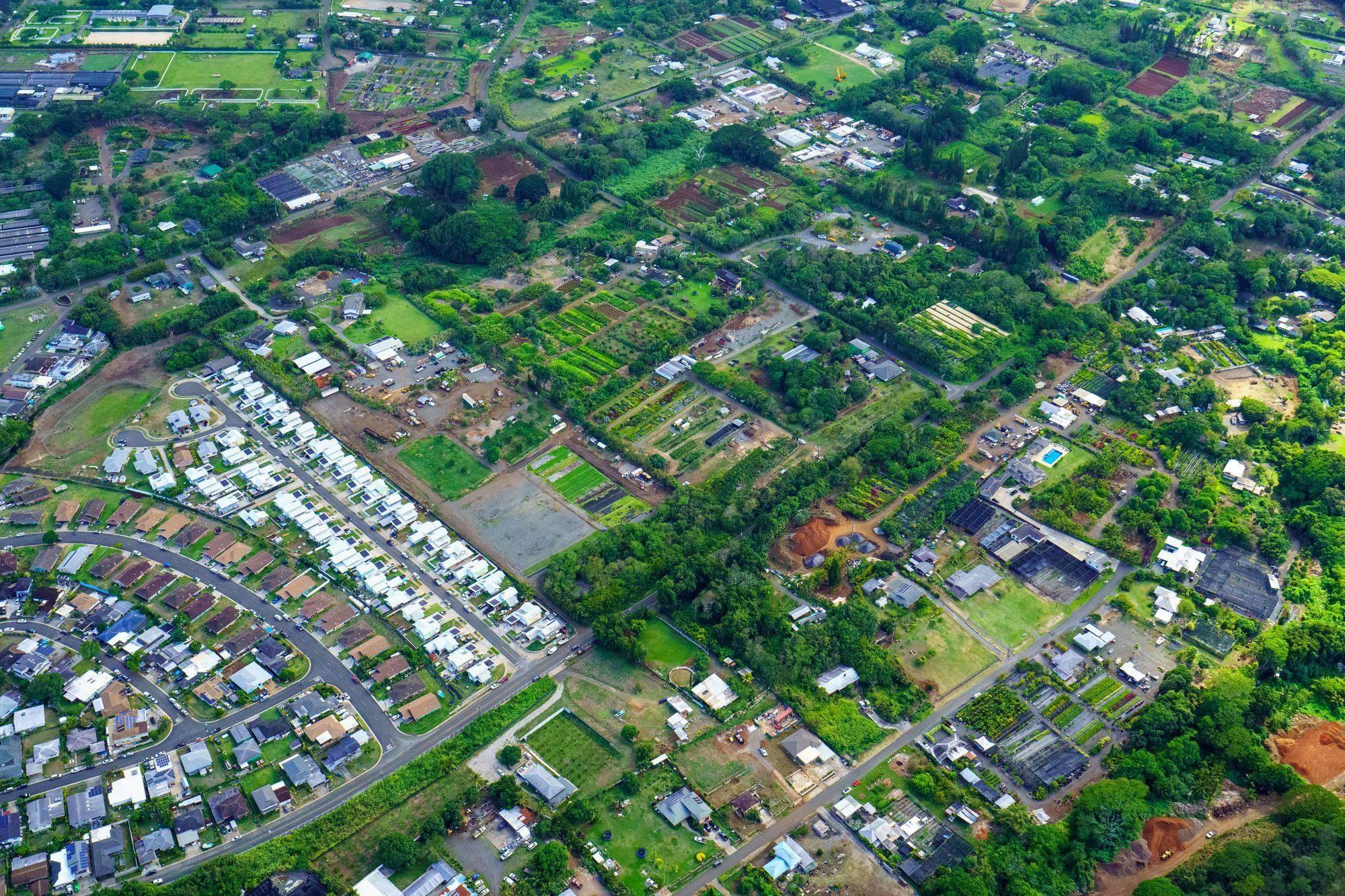 An aerial view of a green residential neighborhood on Oʻahu.