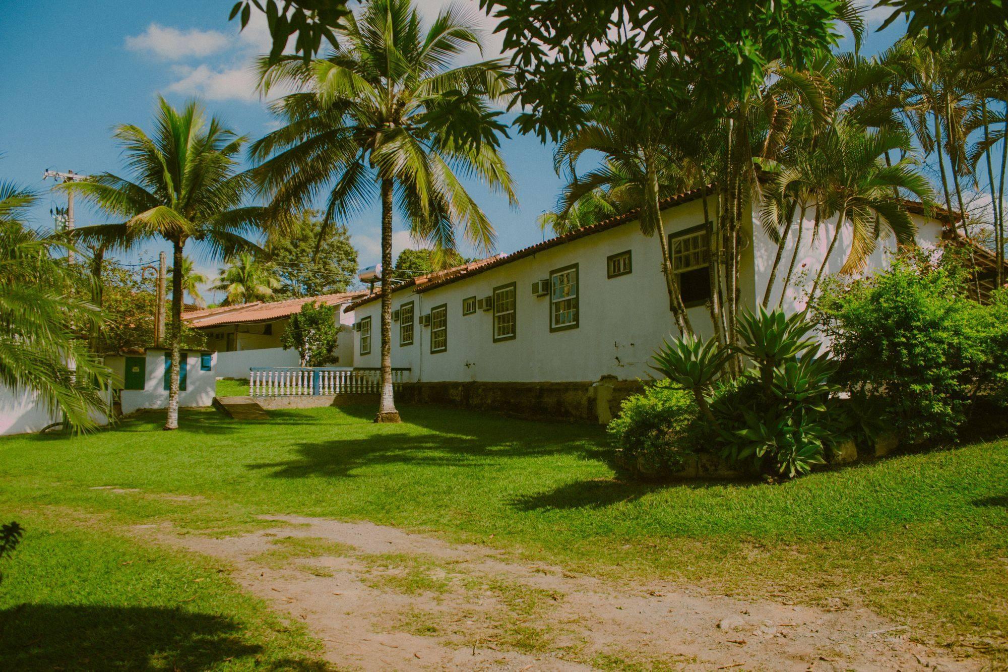 A white single-story home with a wide green lawn and tall palm trees under a bright sky.